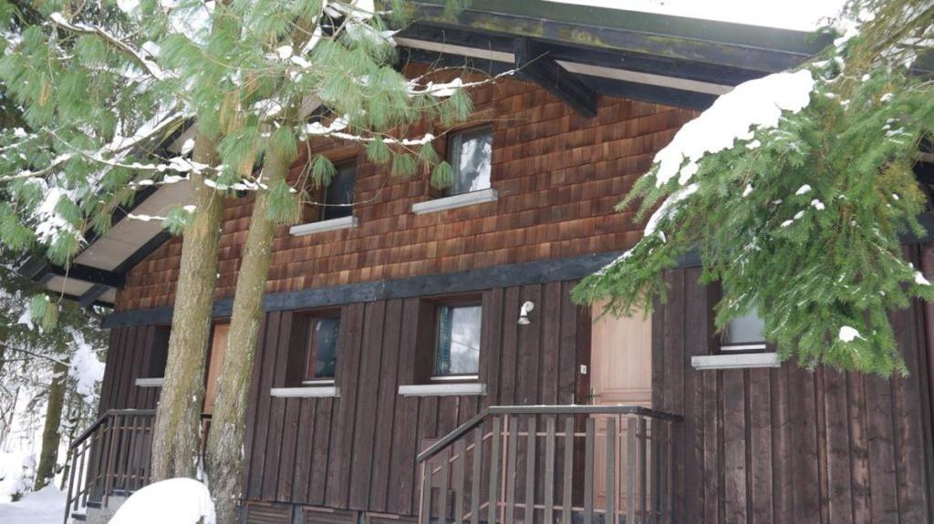 Le Flocon 1 Appartement Avec Terrasse Ла-Бресс Екстер'єр фото